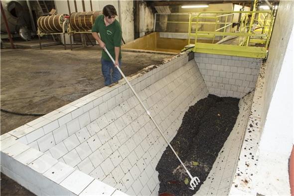 56915 Hygienické hrable 205 mm